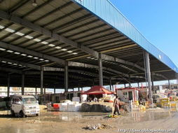 春節前的水產品農貿批發市場 年味、忙碌與希望的匯聚地
