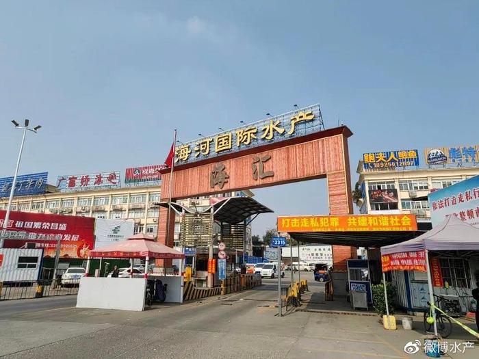 加拿大北極蝦，新鮮直供廣州海河水產批發市場